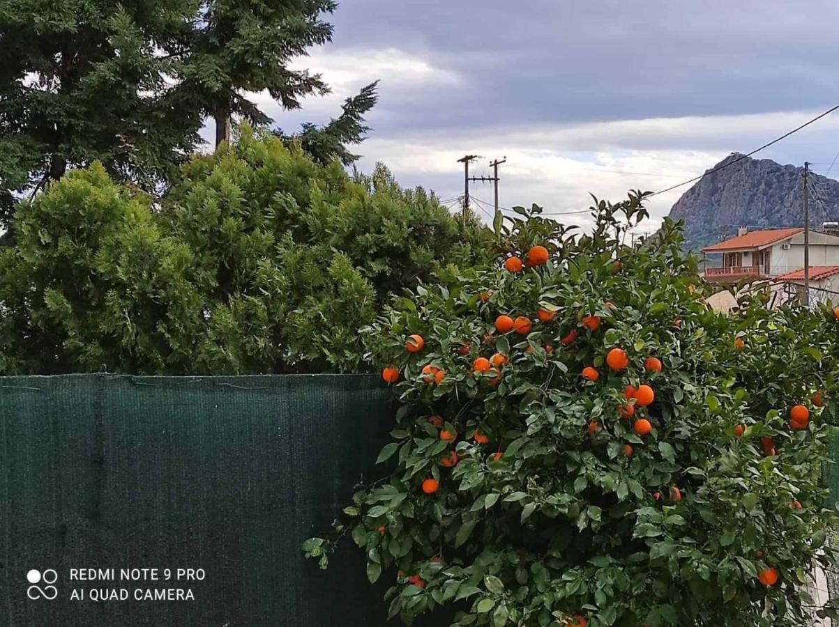 Nafplio BREEZE Άνετη κατοικία από 4 έως 8 επισκέπτες Εξωτερικό φωτογραφία